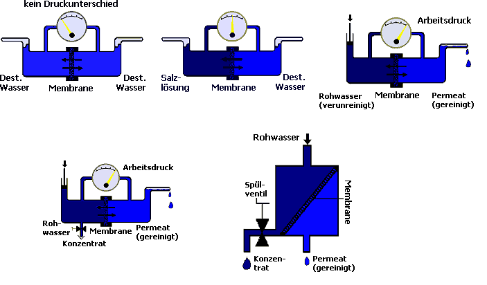 Funktionsschema von Osmose